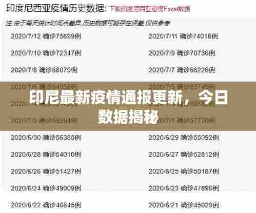 印尼最新疫情通报更新,今日数据揭秘