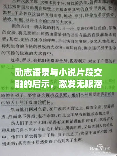 励志语录与小说片段交融的启示,激发无限潜能的力量之源