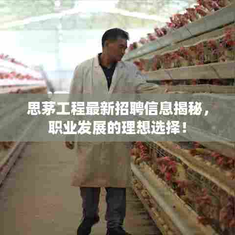 思茅工程最新招聘信息揭秘,职业发展的理想选择!