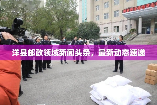 洋县邮政领域新闻头条,最新动态速递