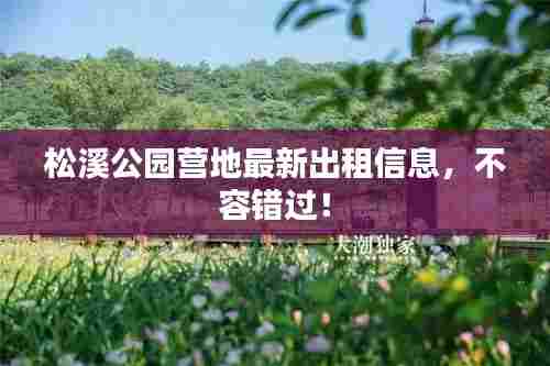 松溪公园营地最新出租信息,不容错过!