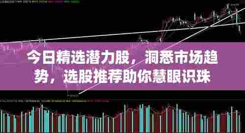 今日精选潜力股，洞悉市场趋势，选股推荐助你慧眼识珠