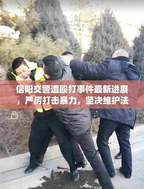 信阳交警遭殴打事件最新进展,严厉打击暴力,坚决维护法治权威