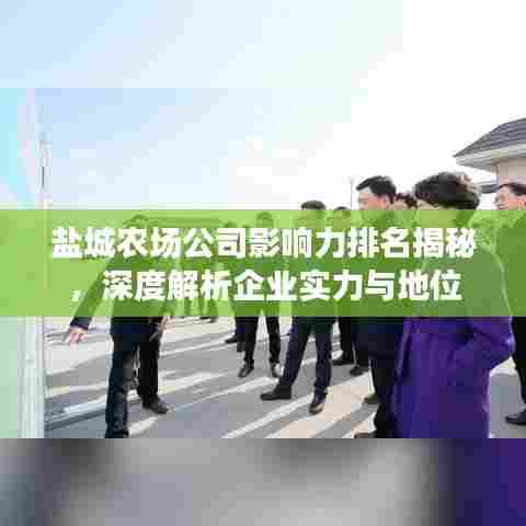 盐城农场公司影响力排名揭秘,深度解析企业实力与地位