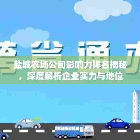 盐城农场公司影响力排名揭秘,深度解析企业实力与地位