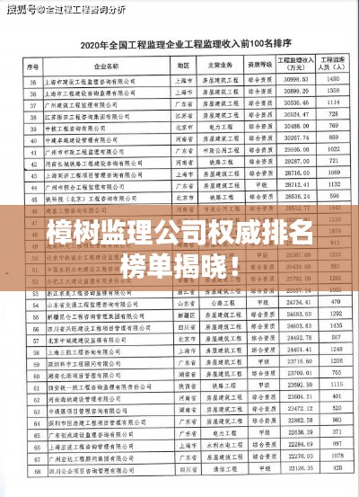 樟树监理公司权威排名榜单揭晓！
