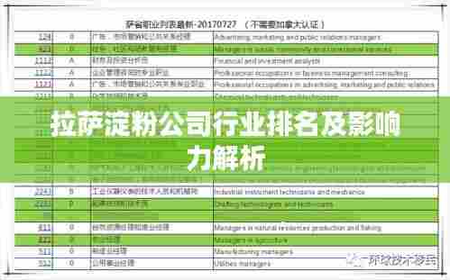 拉萨淀粉公司行业排名及影响力解析