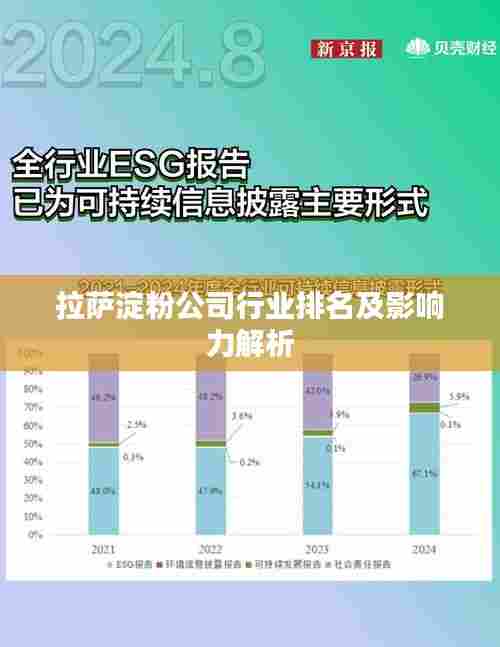 拉萨淀粉公司行业排名及影响力解析