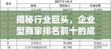 揭秘行业巨头，企业型商家排名前十的成功秘诀