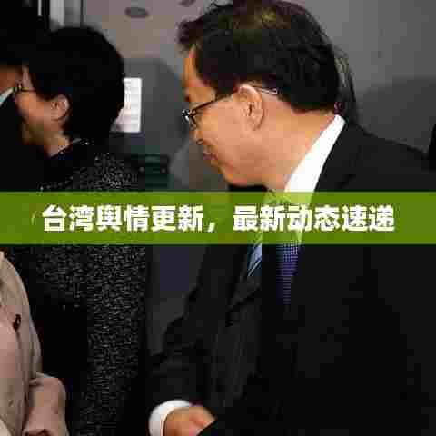 台湾舆情更新，最新动态速递