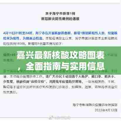 嘉兴最新核酸攻略图表，全面指南与实用信息一网打尽