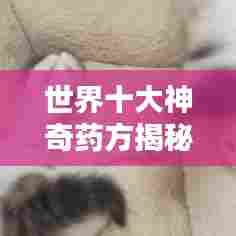 小心翼翼 第3页