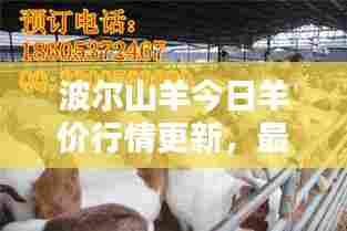 波尔山羊今日羊价行情更新，最新消息一览