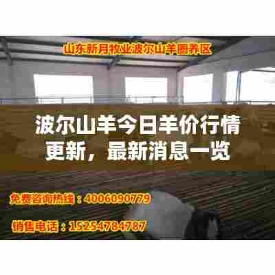 波尔山羊今日羊价行情更新,最新消息一览