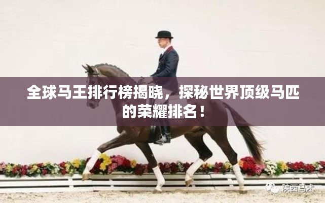 全球马王排行榜揭晓,探秘世界顶级马匹的荣耀排名!