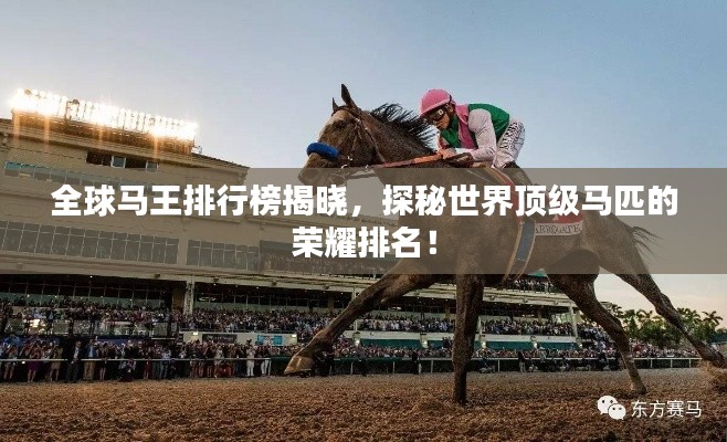 全球马王排行榜揭晓,探秘世界顶级马匹的荣耀排名!