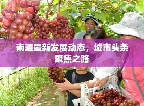 南通最新发展动态，城市头条聚焦之路