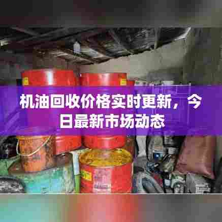机油回收价格实时更新,今日最新市场动态