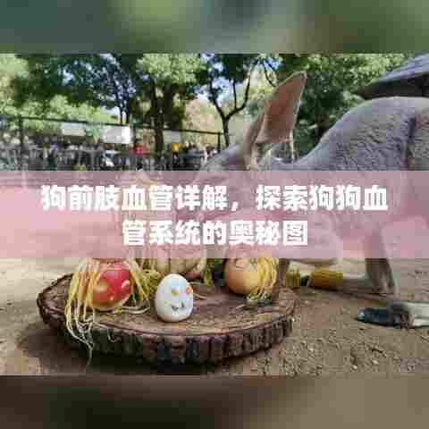 钝学累功 第4页