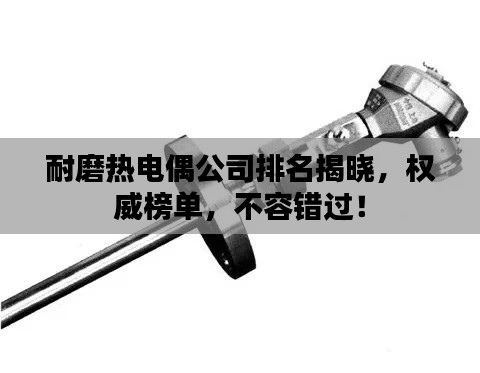 耐磨热电偶公司排名揭晓,权威榜单,不容错过!