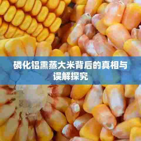 磷化铝熏蒸大米背后的真相与误解探究