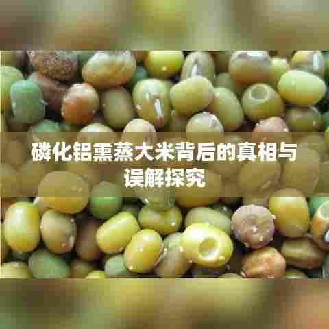 磷化铝熏蒸大米背后的真相与误解探究