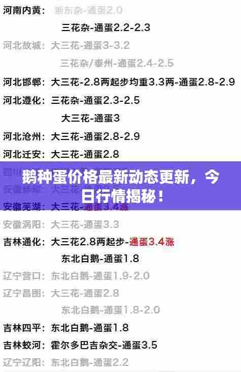 鹅种蛋价格最新动态更新，今日行情揭秘！