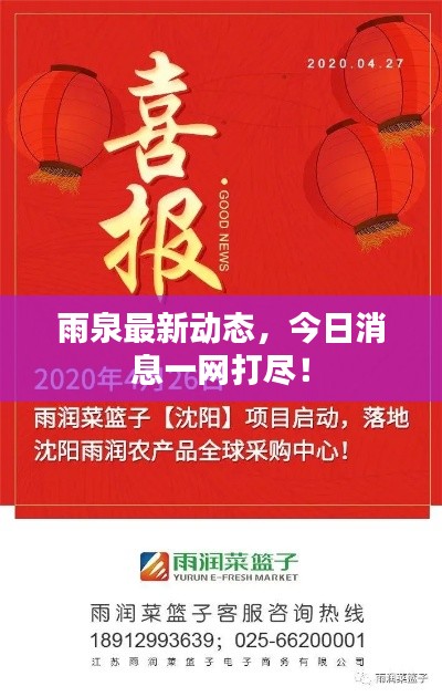 雨泉最新动态，今日消息一网打尽！