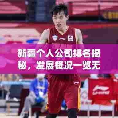 新疆个人公司排名揭秘,发展概况一览无余