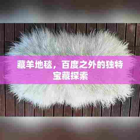 藏羊地毯,百度之外的独特宝藏探索