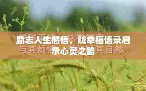 励志人生感悟,贼幸福语录启示心灵之路