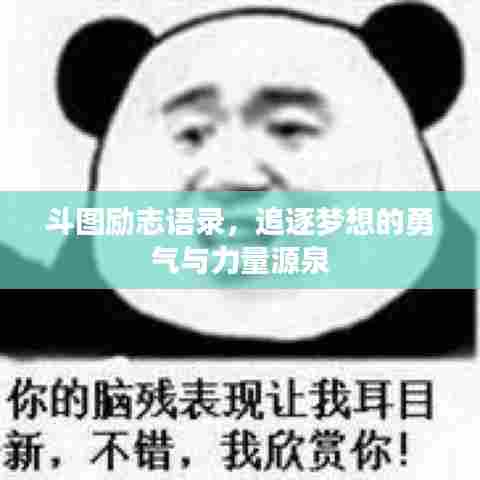 斗图励志语录,追逐梦想的勇气与力量源泉