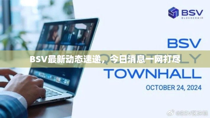 BSV最新动态速递,今日消息一网打尽