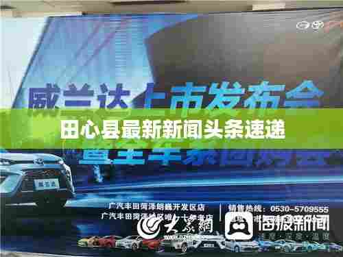 田心县最新新闻头条速递
