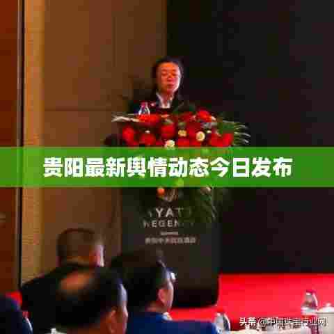 贵阳最新舆情动态今日发布