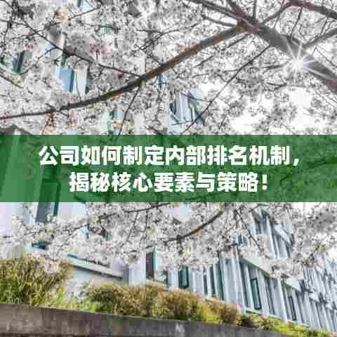 公司如何制定内部排名机制,揭秘核心要素与策略!