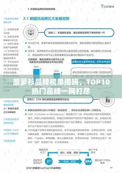 菠萝衫品牌榜单揭晓，TOP10热门品牌一网打尽