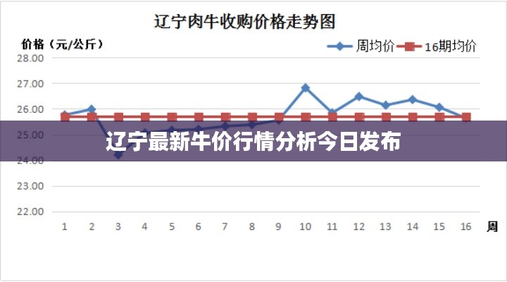 辽宁最新牛价行情分析今日发布