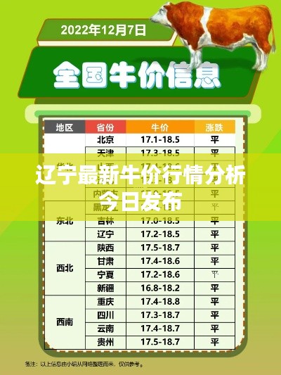 辽宁最新牛价行情分析今日发布