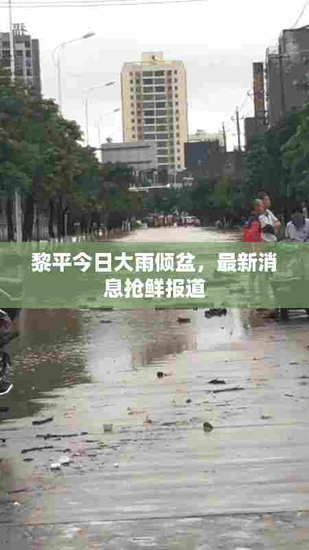 黎平今日大雨倾盆，最新消息抢鲜报道