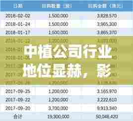 中植公司行业地位显赫,影响力不容小觑,揭秘其在行业中的排名与贡献