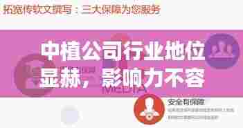 中植公司行业地位显赫,影响力不容小觑,揭秘其在行业中的排名与贡献