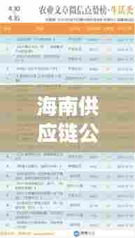海南供应链公司排名揭晓，权威榜单助你快速了解行业巨头！