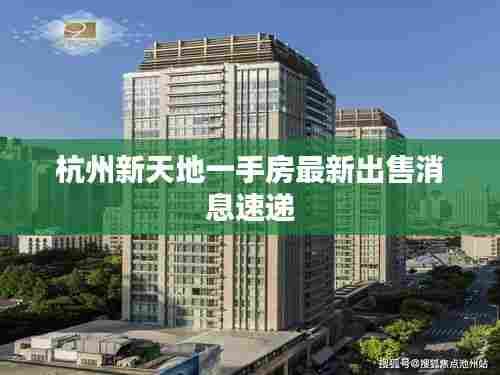 杭州新天地一手房最新出售消息速递