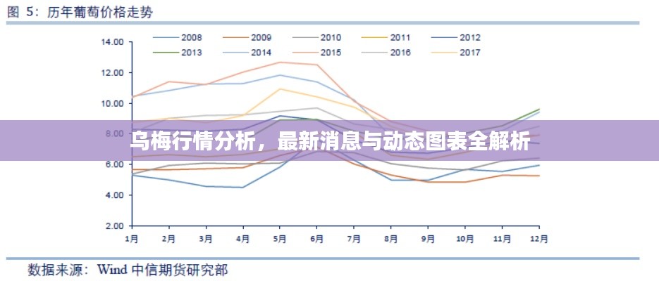乌梅行情分析，最新消息与动态图表全解析