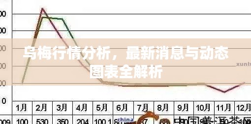 乌梅行情分析,最新消息与动态图表全解析