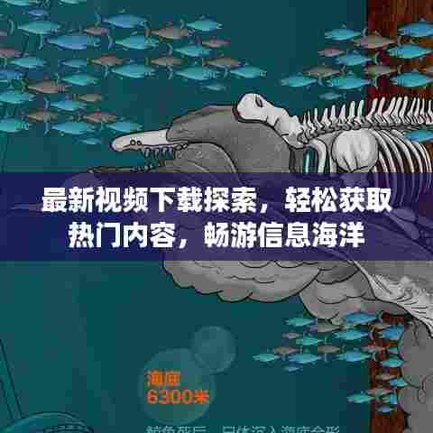 最新视频下载探索，轻松获取热门内容，畅游信息海洋