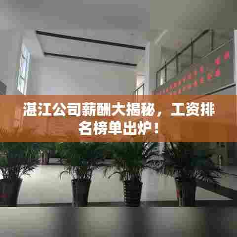 湛江公司薪酬大揭秘,工资排名榜单出炉!