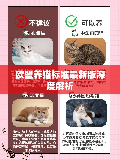 欧盟养猫标准最新版深度解析