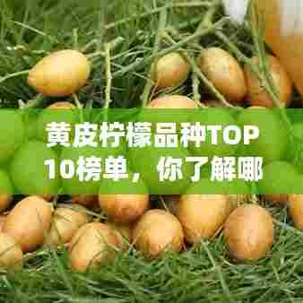 黄皮柠檬品种TOP10榜单,你了解哪些?